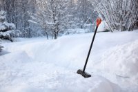 Зимние работы в саду Зимние работы в саду